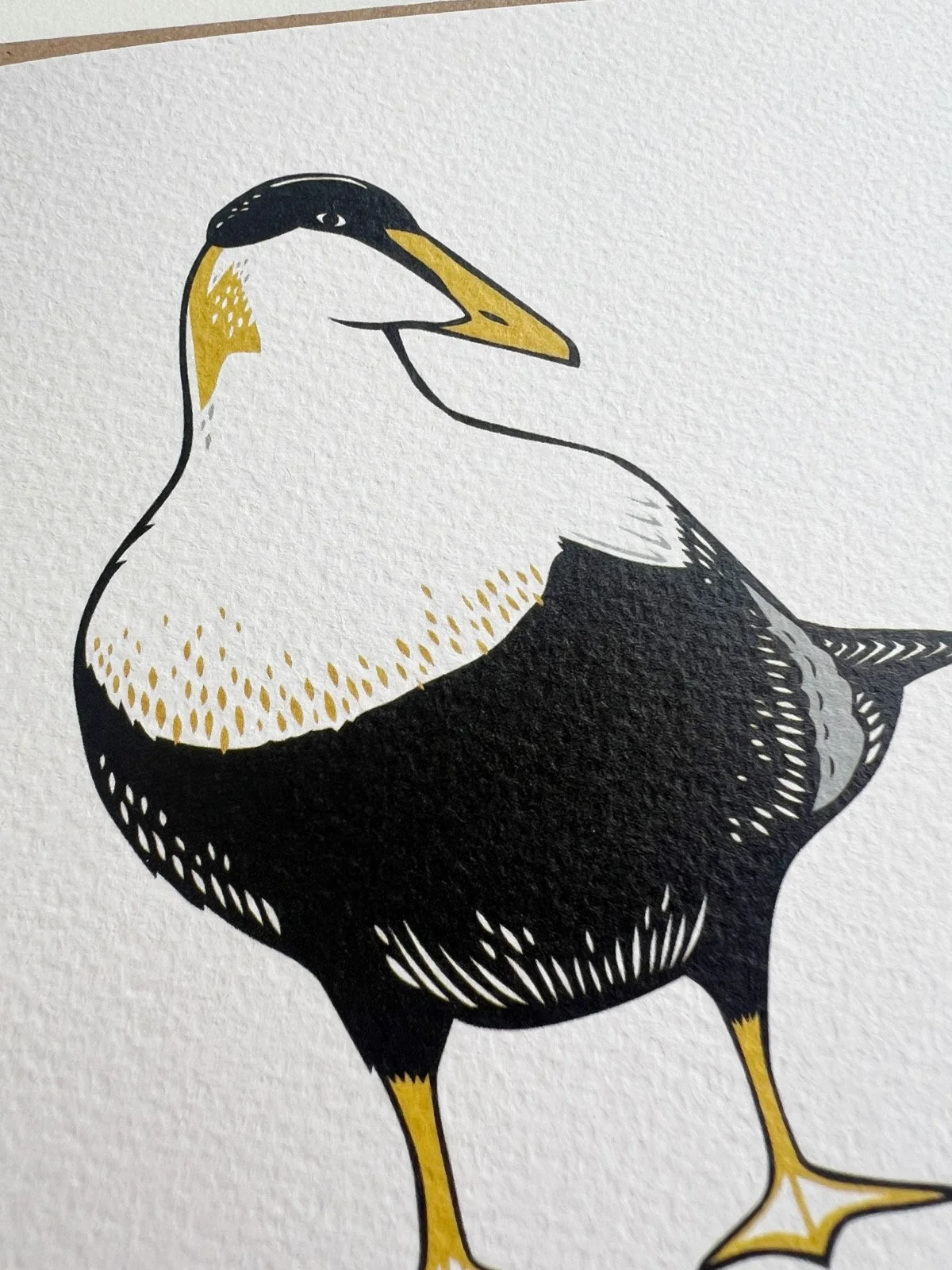 AfterlightImage 530.JPG