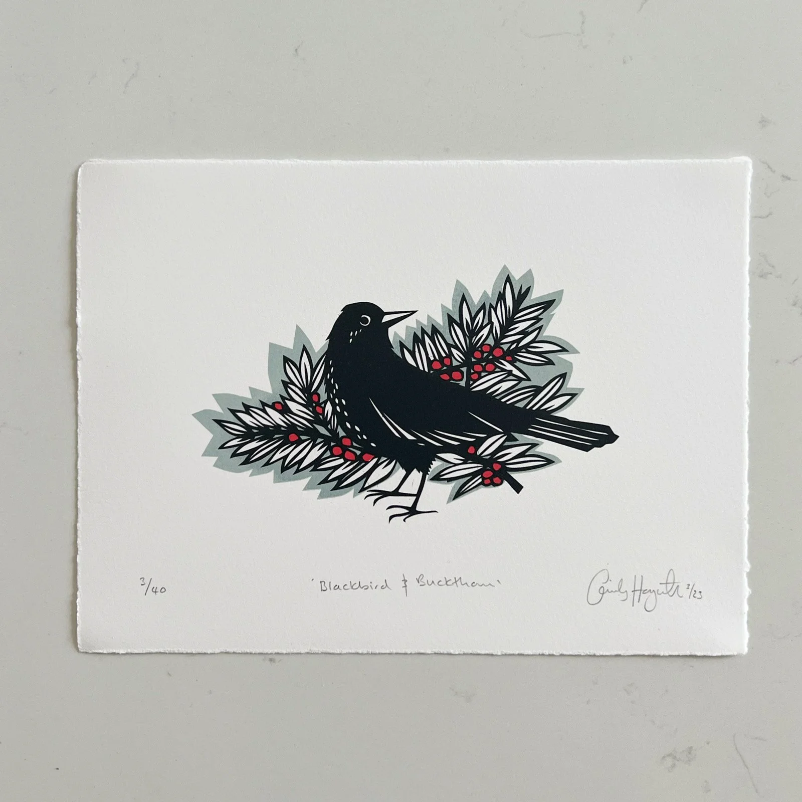 AfterlightImage 22.JPG