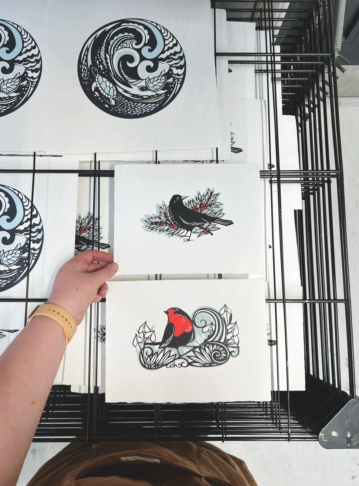 AfterlightImage 31.JPG