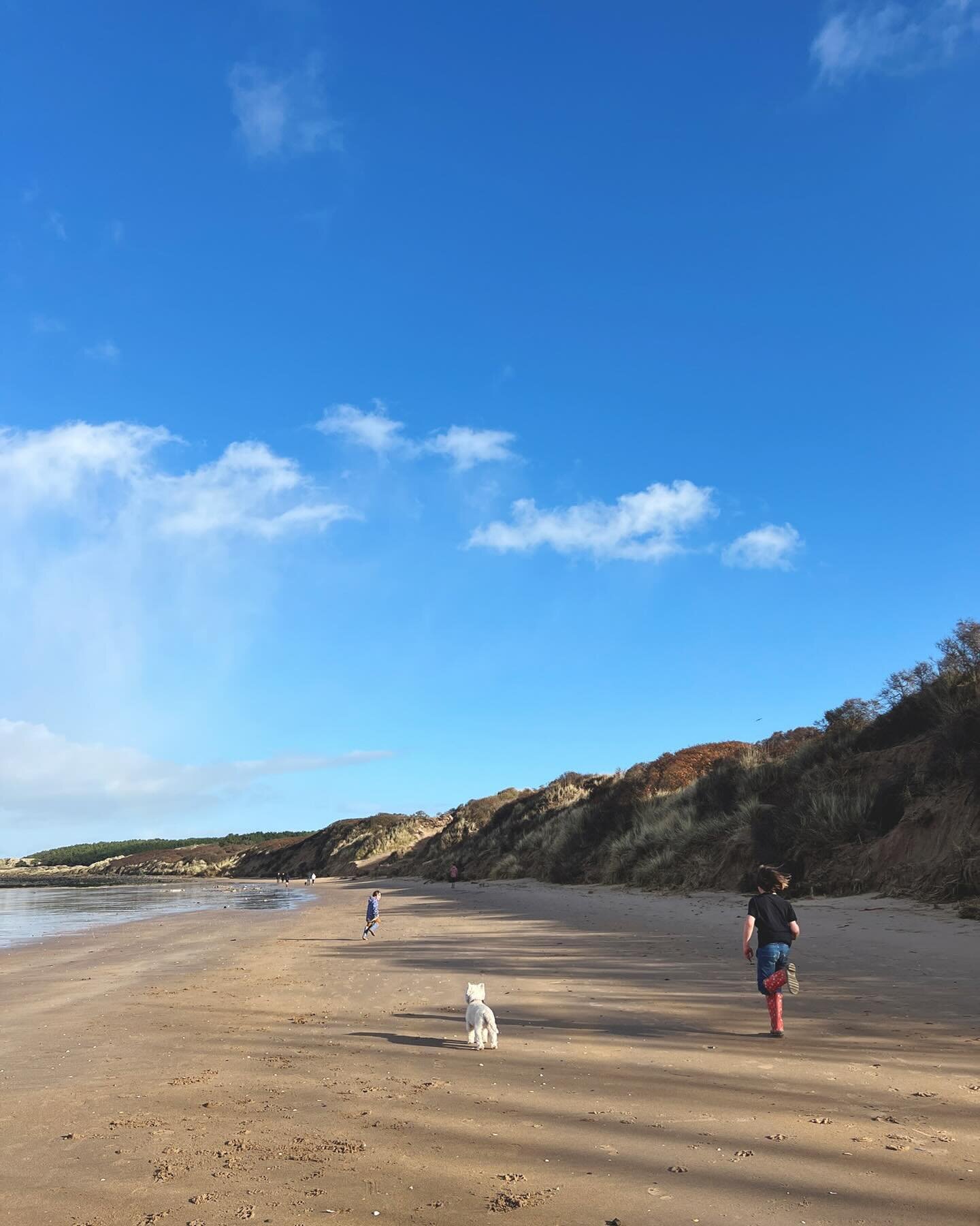 What a beautiful day. Big blue skies and adventures with friends at the beach. A perfect half term day - so lovely to have a whole day outside, getting lost and being fuelled by hot chocolate. Happy rosy cheeks all round!