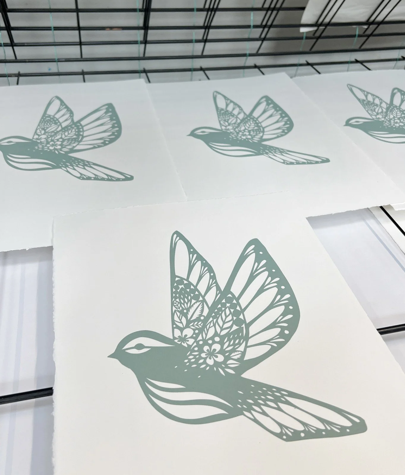 AfterlightImage 401.JPG