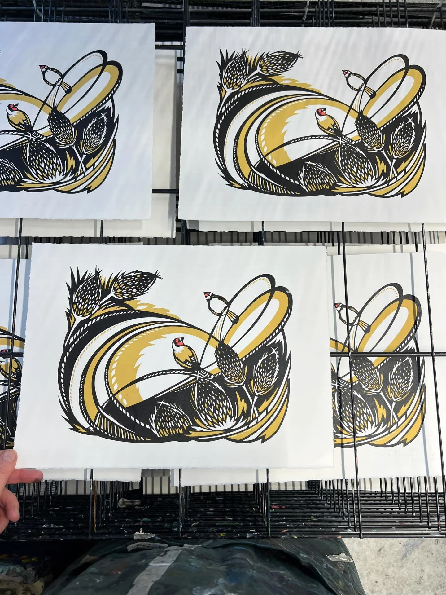 So wonderful to be back at @edinburghprintmakers yesterday printing up some new screenprints for my exhibition at the @socaberlady in January. Enjoyed these little goldfinches in the print table yesterday. I&rsquo;ll be back at the printmakers again 
