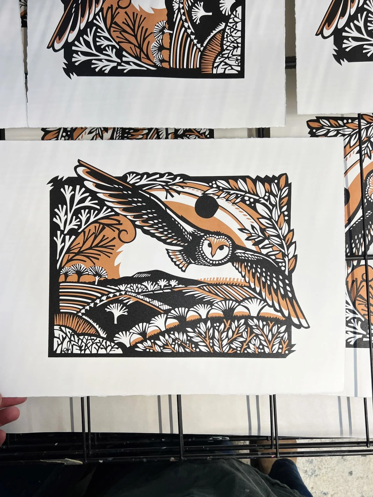 Back at the printmakers again yesterday printing more artwork ready for my exhibtion at @socaberlady in January. Next up is &lsquo;owl in flight&rsquo; - was such a wonderful day printing, quietly listening to music. A bit of calm in amongst the chao