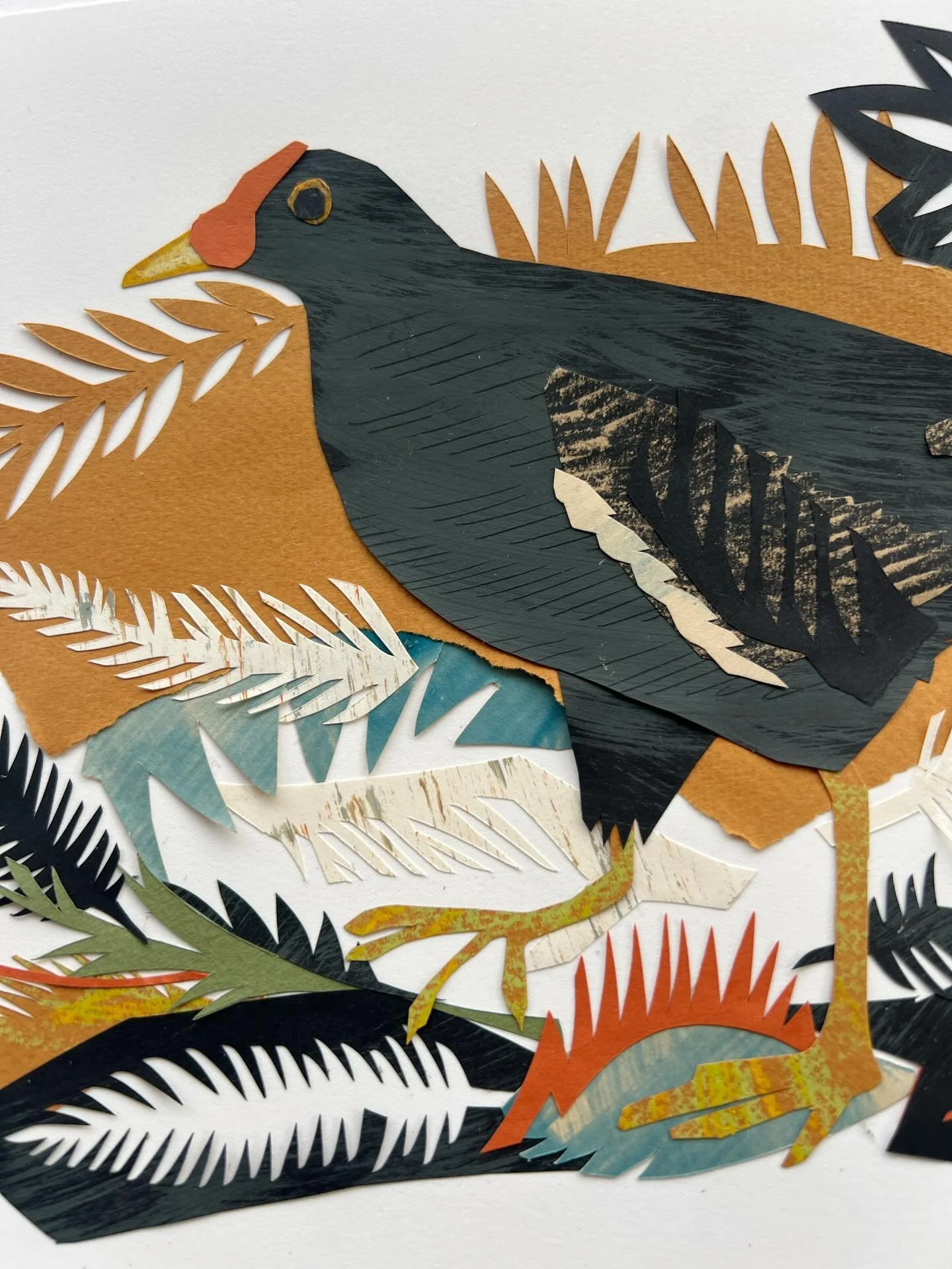 Definitely need to add some more paper collage mages into my designs - I loved creating these moorhens so much! Playing with texture and colour again in a way I don&rsquo;t often within my papercut. All three of my new paper collages will be on view 