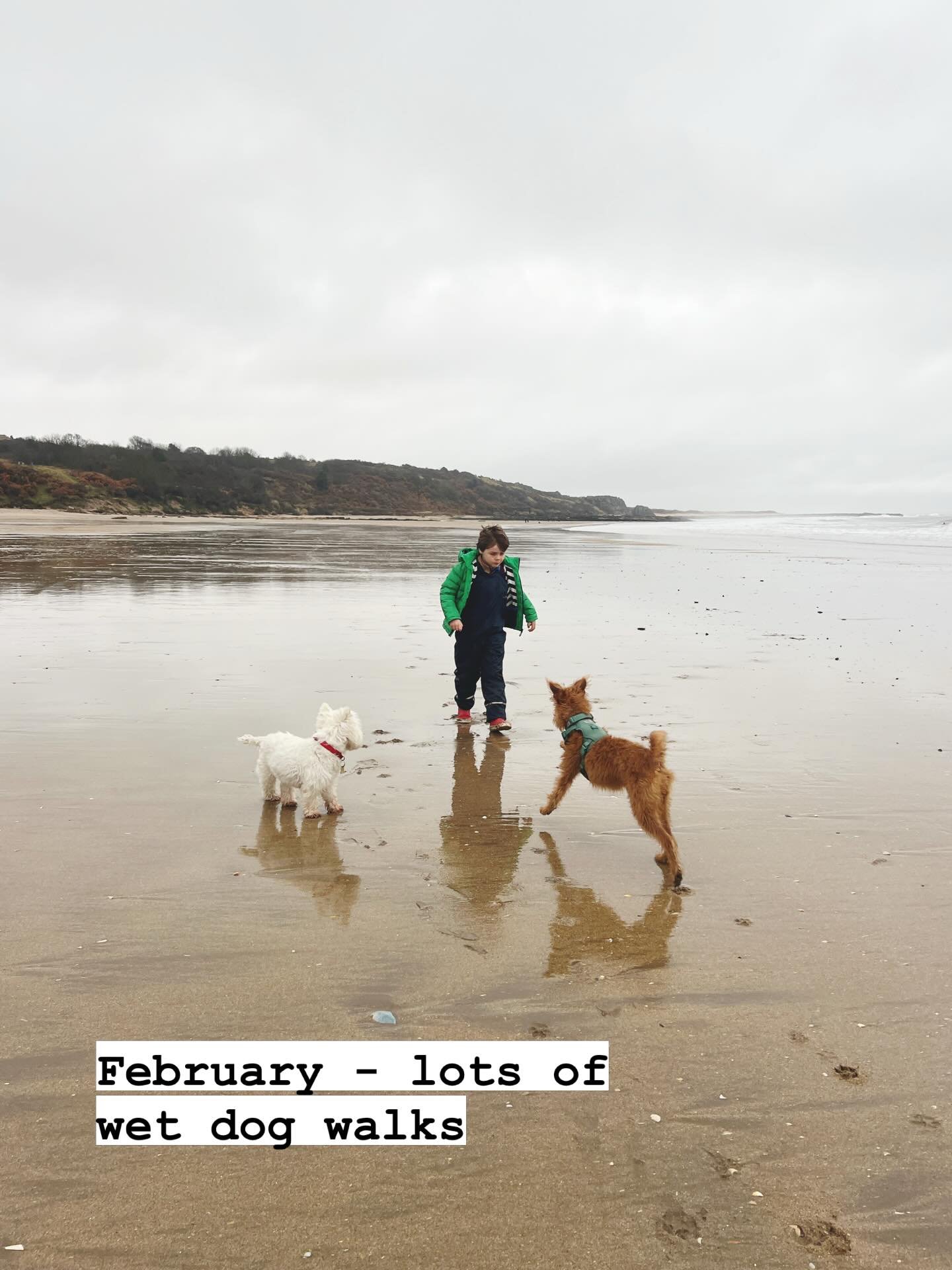 February - it felt long and the rain felt relentless. But it was filled with lovely highlights. Lots of dog walks with family and friends (mostly in the rain). We had a flurry of snow for a few days which felt magical. Enjoyed a holiday up north with