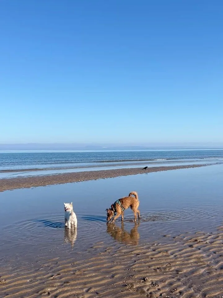 Some mornings are just better that others - this one needed a little spot on the grid to remind me n the dept of the winter that the sun does come back. So here is your little vitamin Sea today in case you also need to be reminded the sun always come