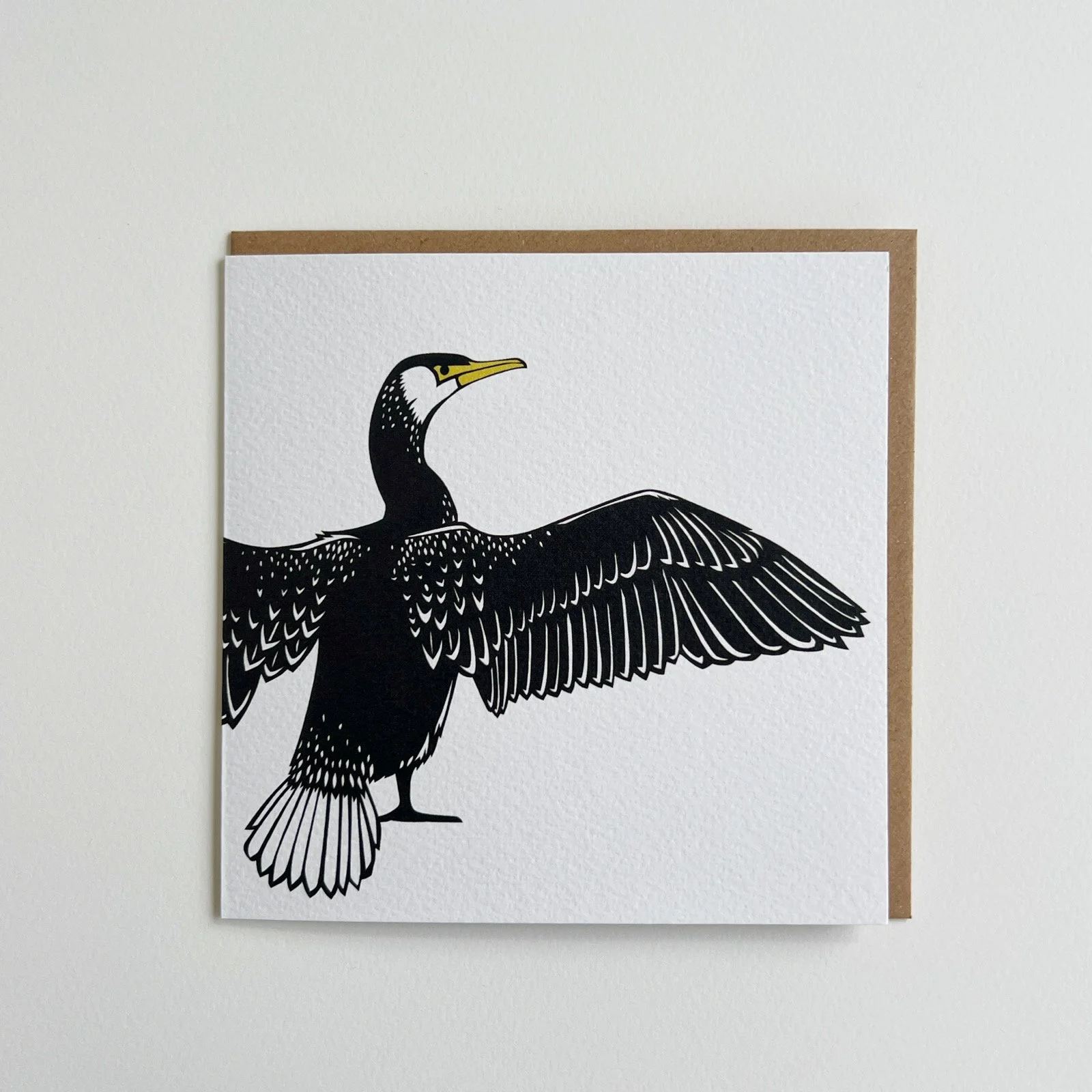 AfterlightImage 526.JPG