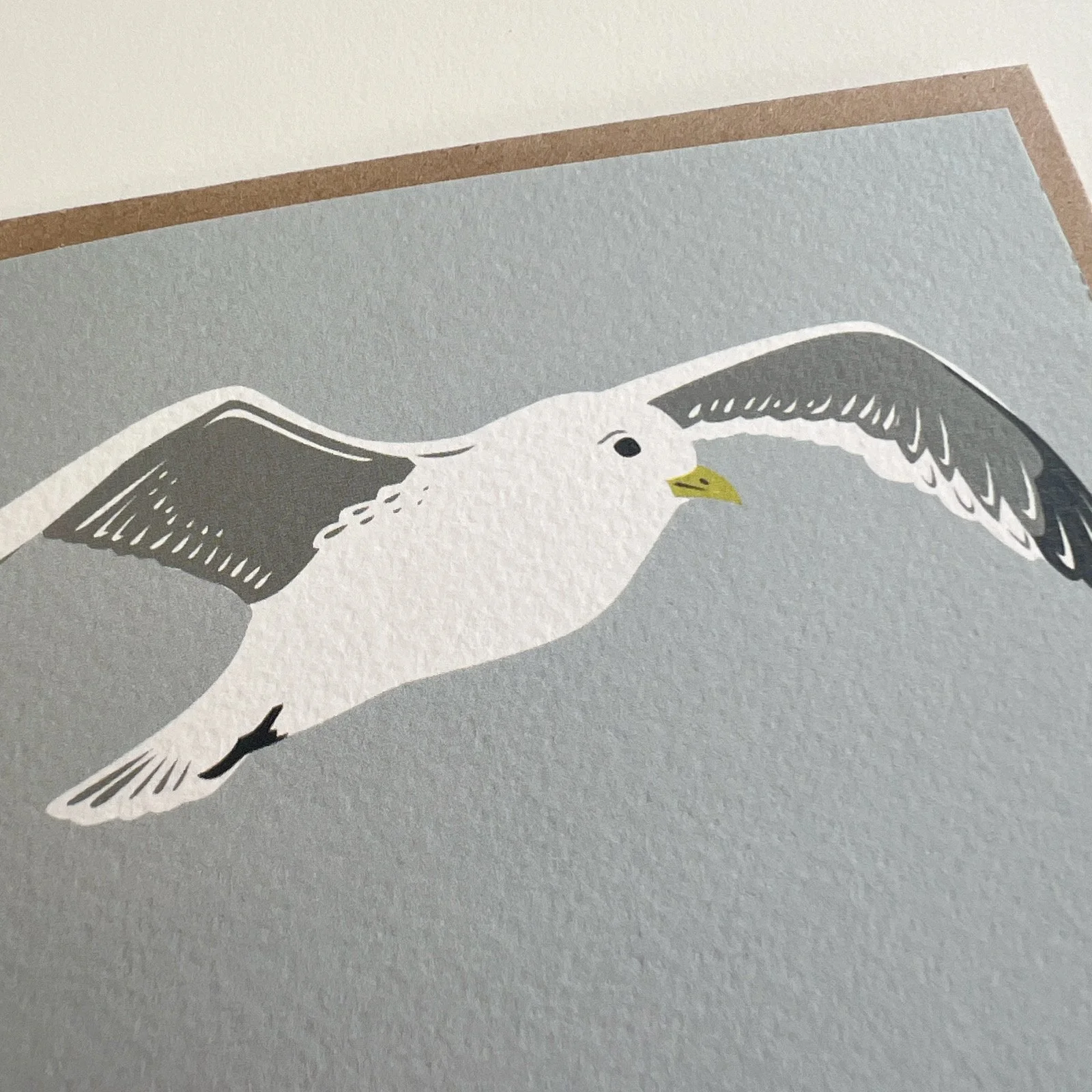 AfterlightImage 521.JPG