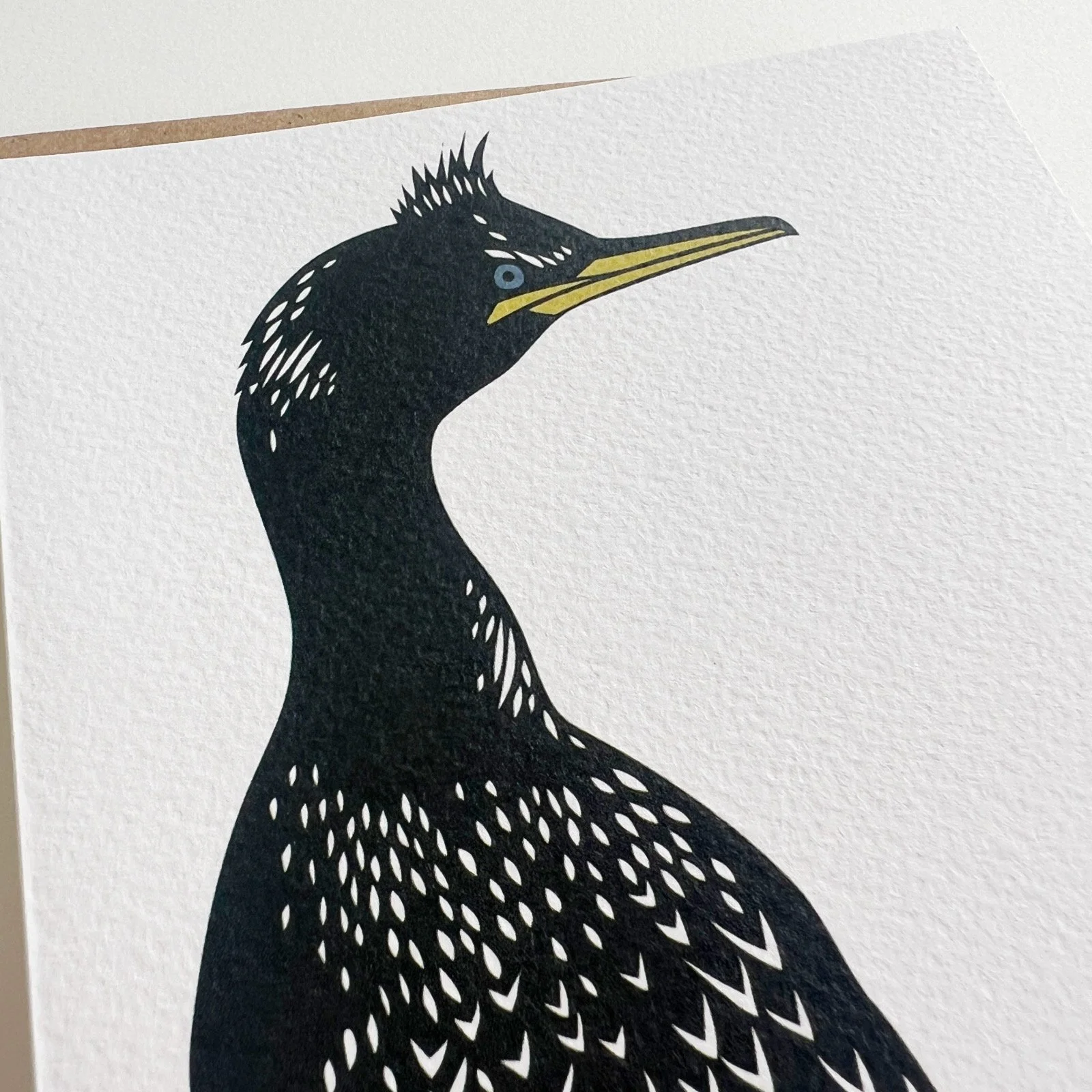 AfterlightImage 488.JPG