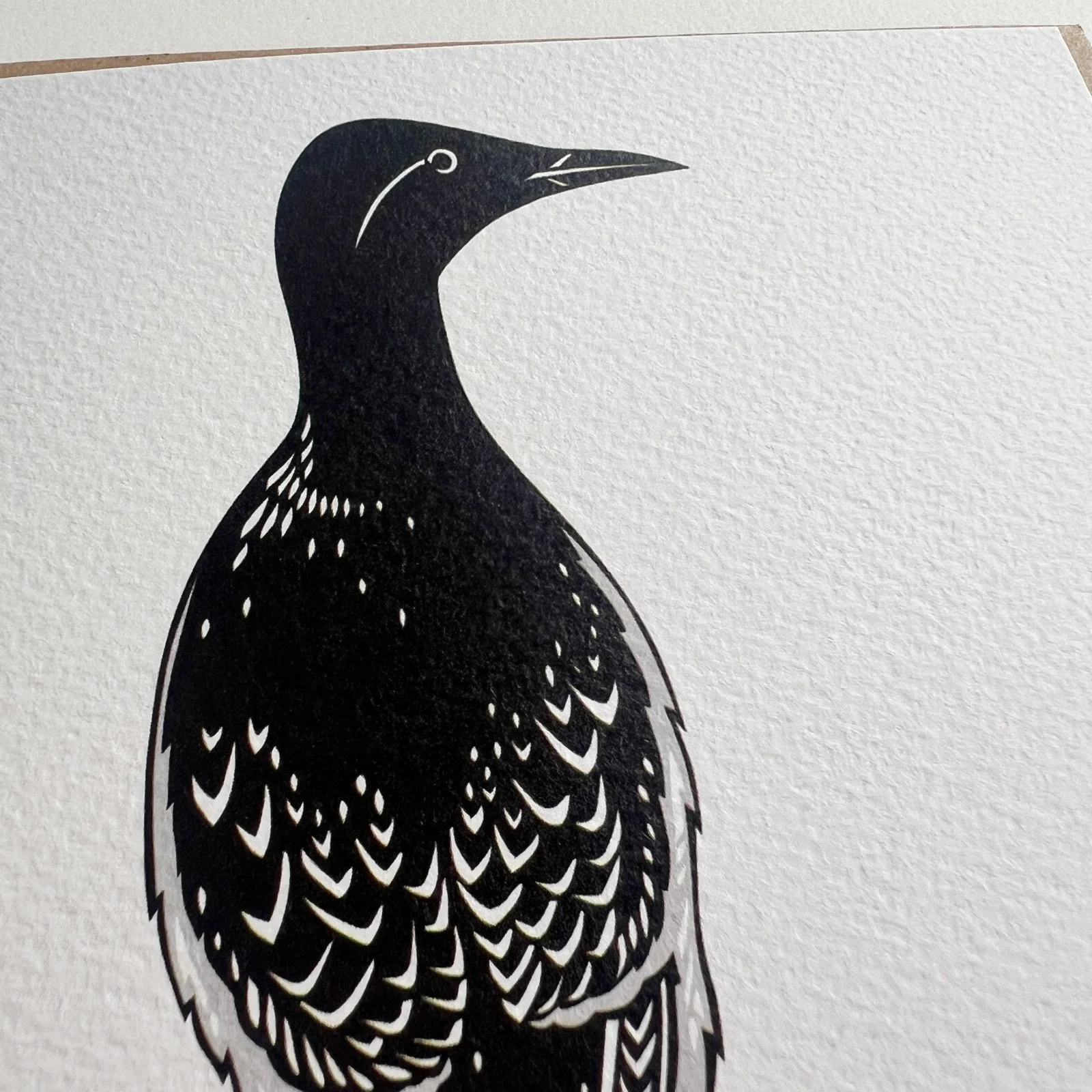 AfterlightImage 494.JPG