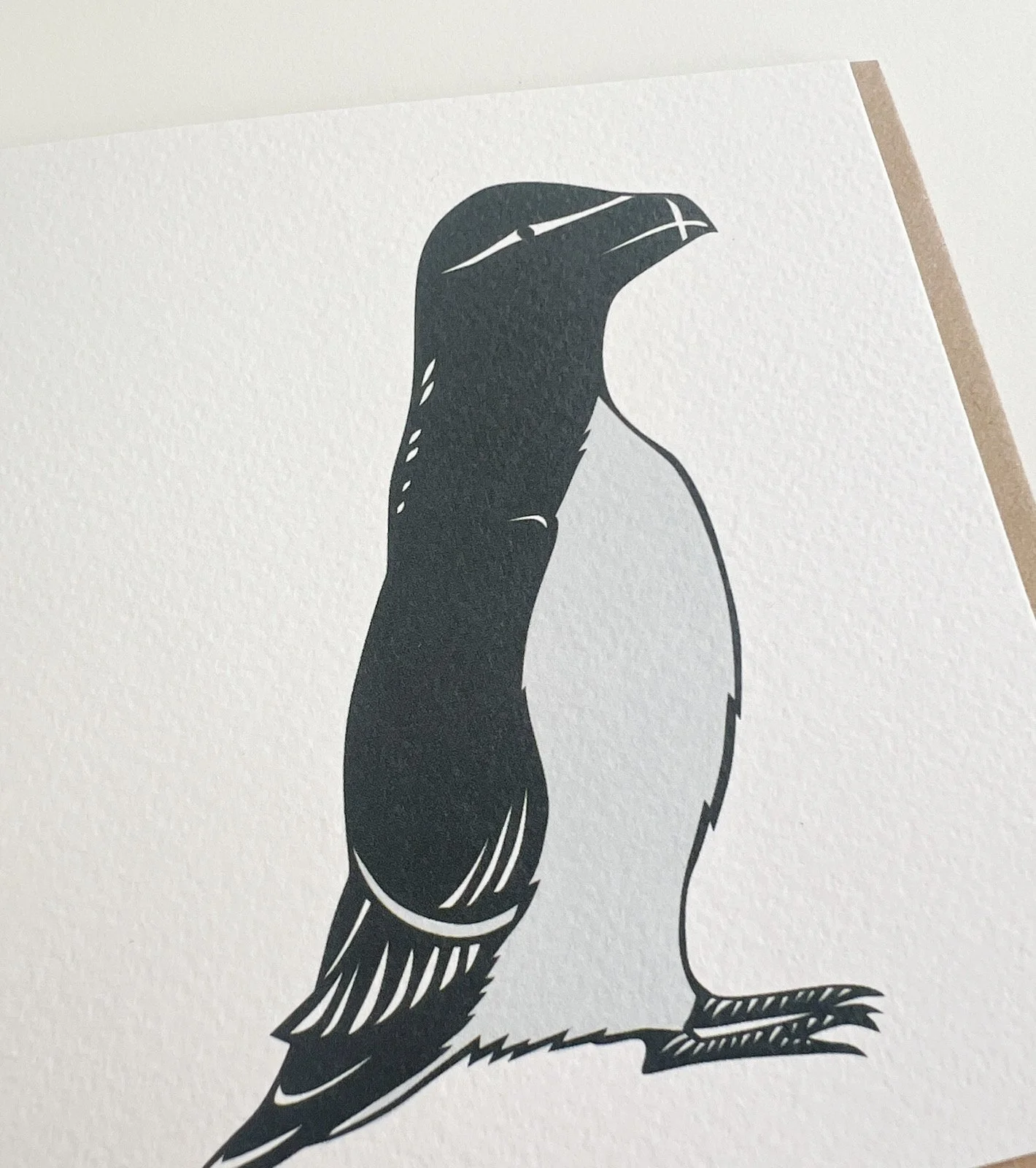 AfterlightImage 512.JPG