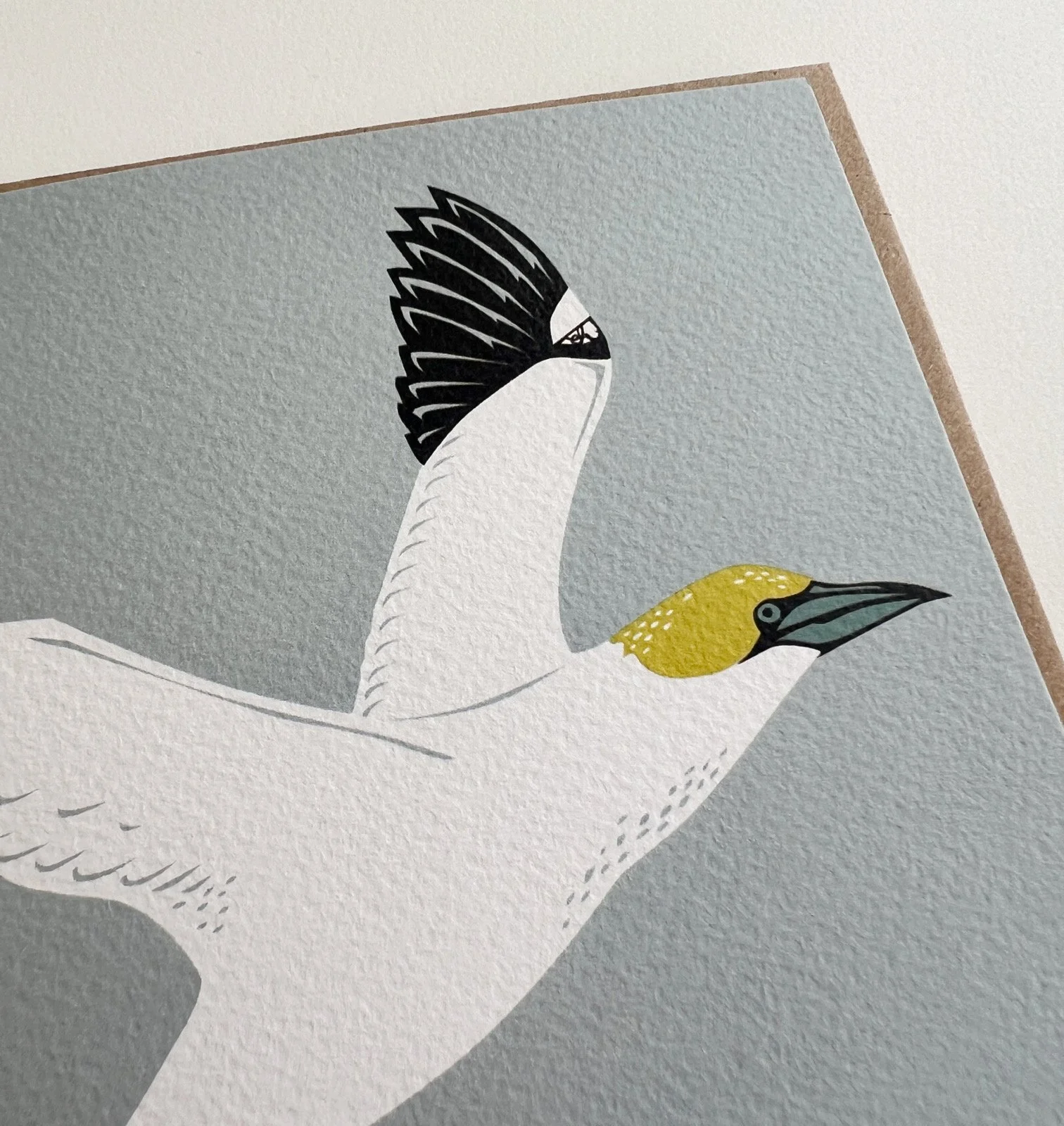 AfterlightImage 518.JPG