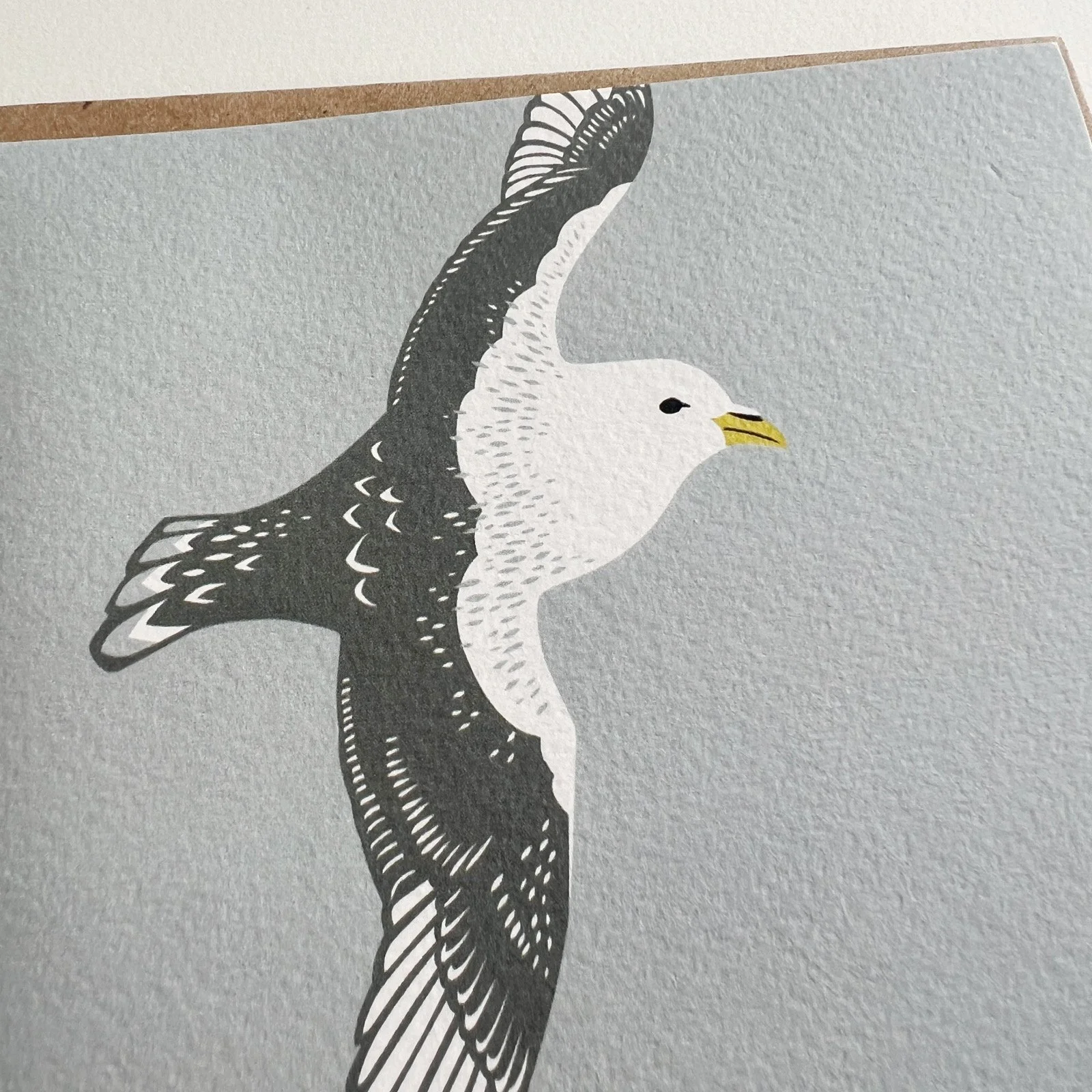 AfterlightImage 491.JPG