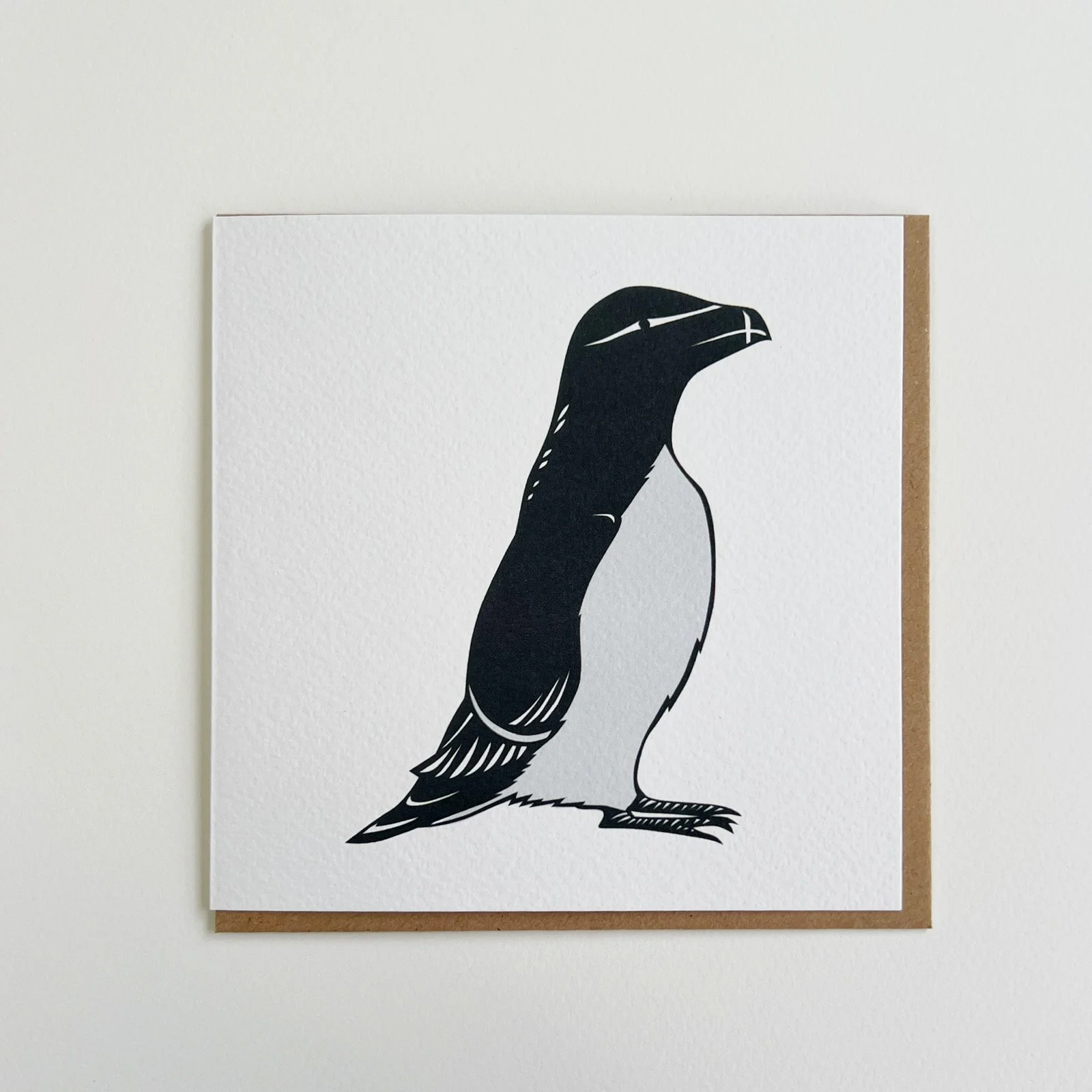 AfterlightImage 511.JPG