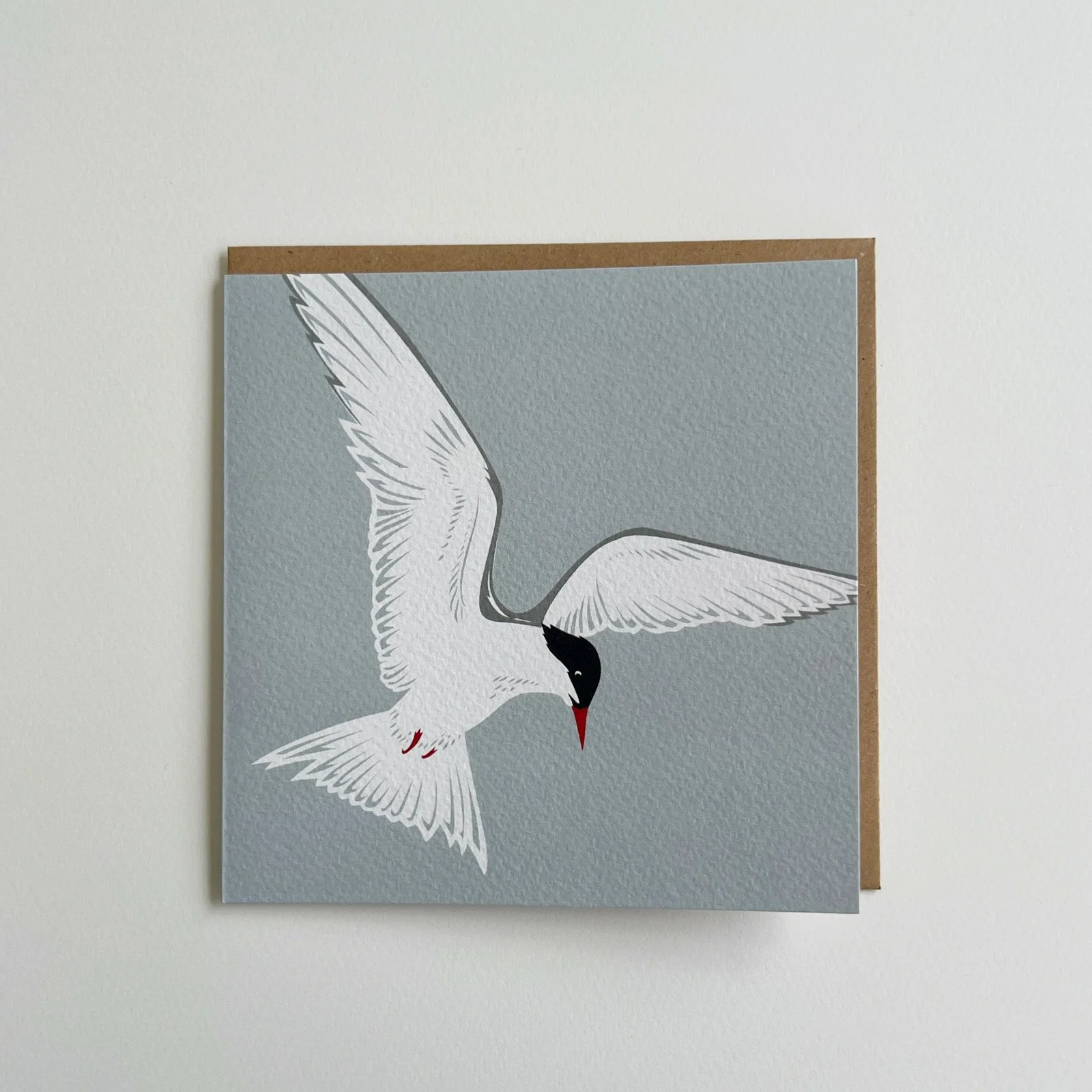 AfterlightImage 523.JPG