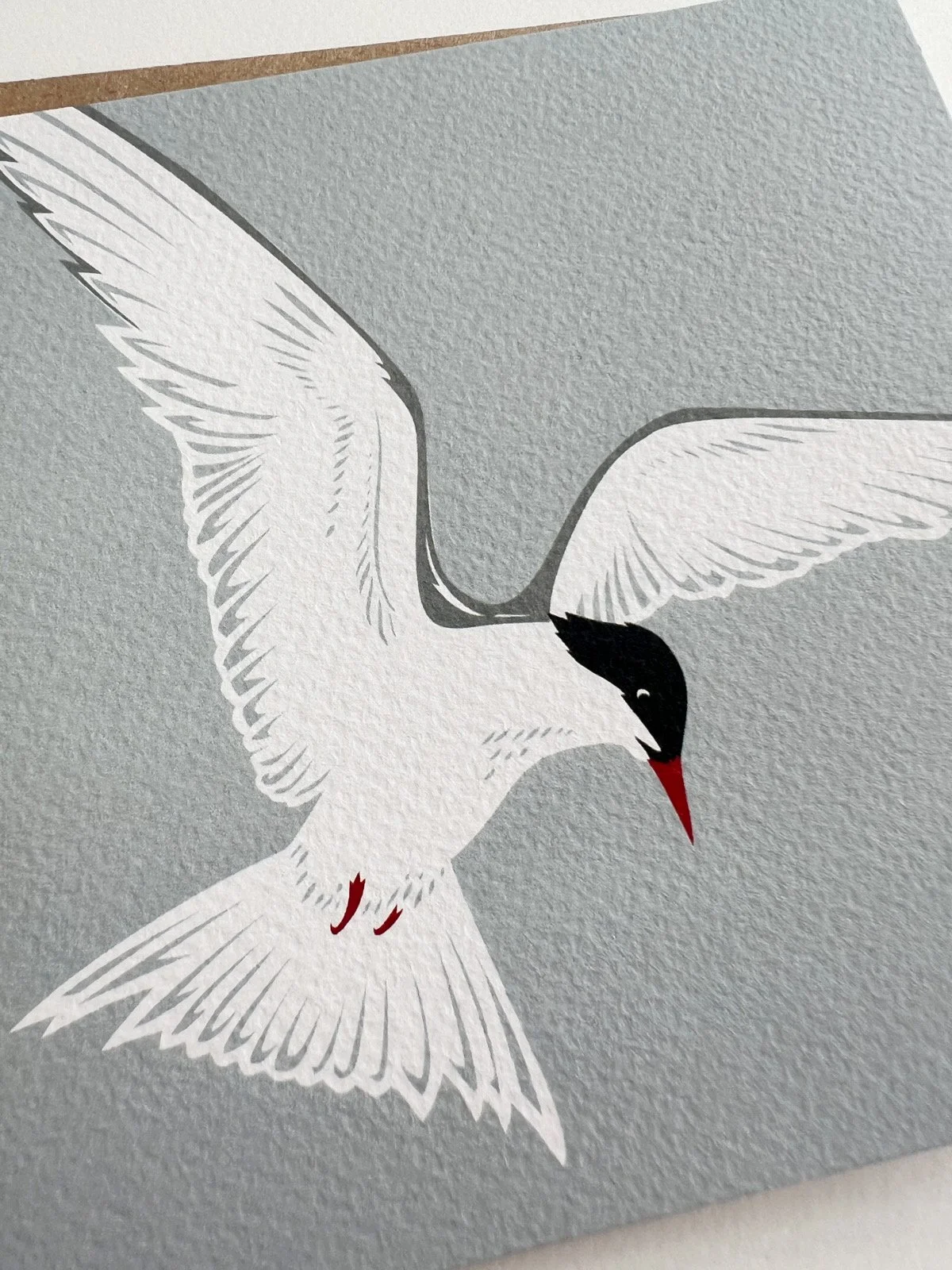 AfterlightImage 524.JPG