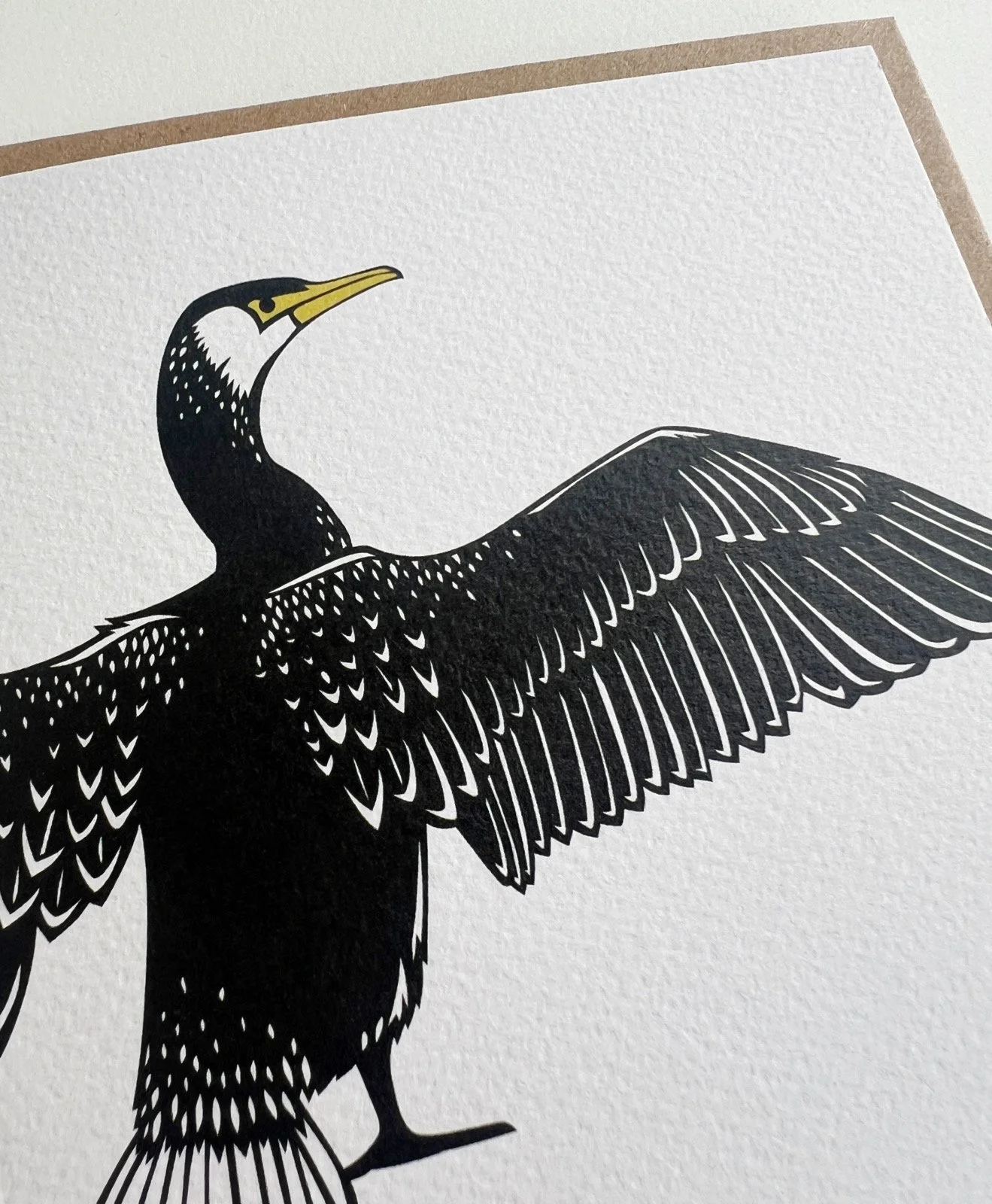 AfterlightImage 527.JPG