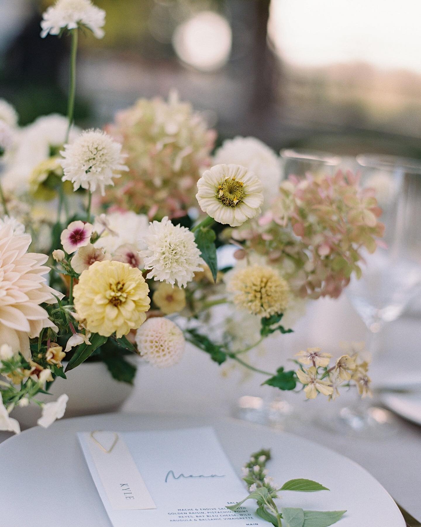 close up of the local zinnias that helped bring this buttery palette to life. i love how they became a focal of this design, because they are so often underrated. captured by @stephaniekgan