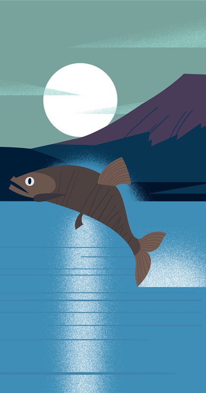 clayton-junior-moncle-salmon.png