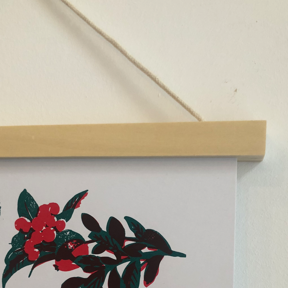 Magnetic Frame Ply 3- Moxon Copy.png