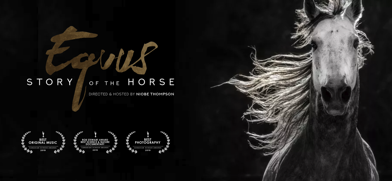 Broadcasting now in Canada (CBC) , in the USA (PBS Nature and Nova), GERMANY (ZDF TerraX), FRANCE (Arte), DENMARK (DR2), and KAZAKHSTAN. 2019 Sundance Festival: Short Films : Winner Special Jury Awards for Directing FAST HORSE / Canada (Director and screenwriter: Alexandra Lazarowich) Winner of 3 2019 Canadian Screen Awards : - Best Science or Nature Documentary Program - Best Original Music, Non-Fiction (Darren Fung) - Best Photography, Documentary or Factual (Daron Donahue, aAron Munson) 2019 Sundance Festival: Short Films Winner Special Jury Awards for Directing FAST HORSE / Canada (Director and screenwriter: Alexandra Lazarowich)