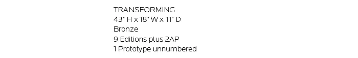 17_WHATLIES_Transforming copy.jpg