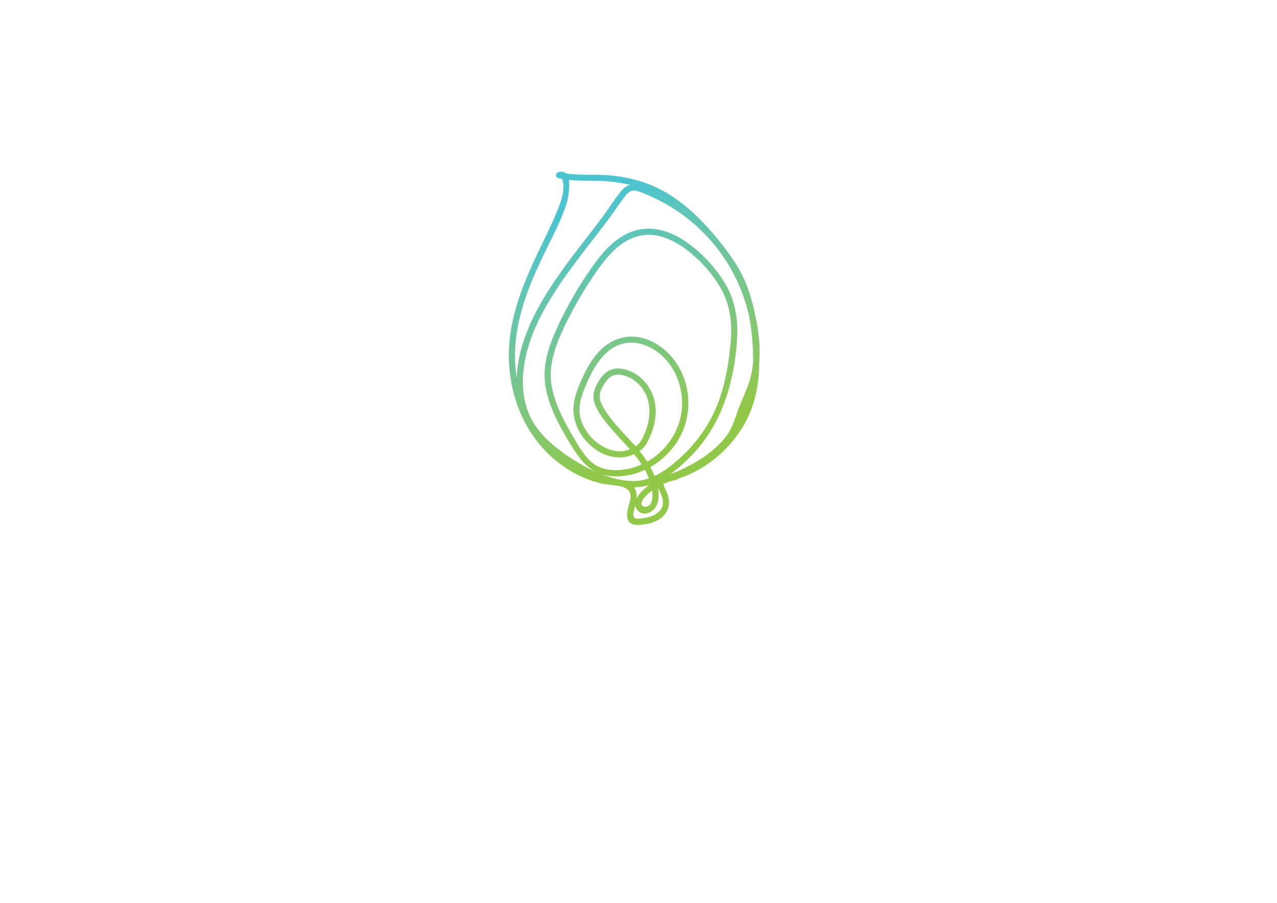 the plastic runner