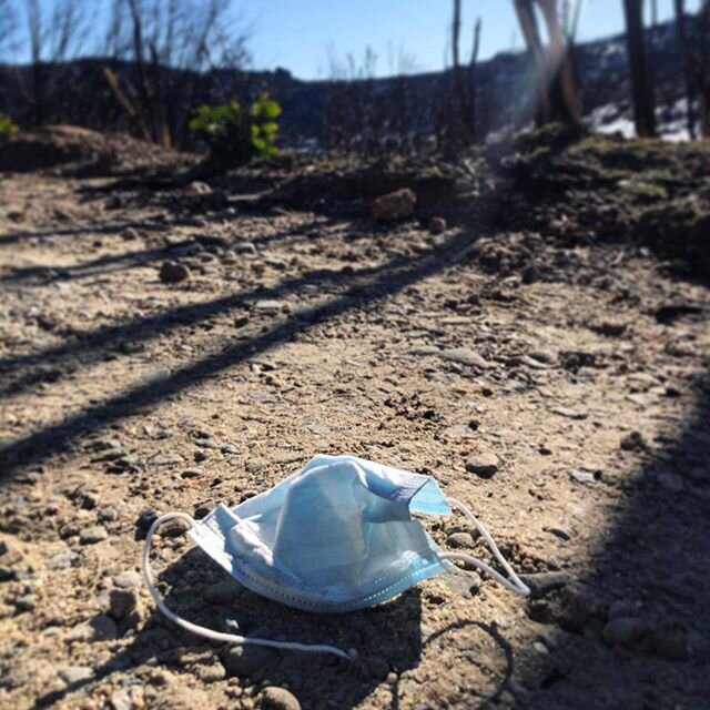 With COVID-19, we have experienced different waste streams appearing around. 
While I want to assume this disposable mask was probably an accident, finding it in the middle of Mount Buffalo National Park, was sad and frustrating. 
Yes, we picked that
