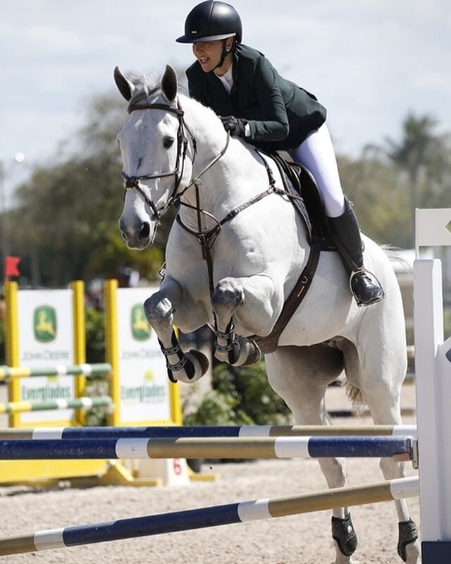 ✨WEF 9 Highlights ✨ @sstenbeck and Brunello Di Fer jumped a double clear round in the Adult Jumper Classic finishing 11th! @peterlutz_showjumping and Chicago Hof Eversem Z finished 2nd in the FEI 1.40m speed, and Grace Stenbeck-Werner was champion in