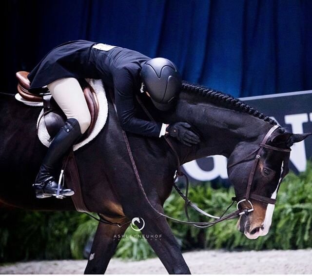 It has been an incredible indoors season for Kelly Tropin and Chablis. During Harrisburg, they received 3 scores of 92 and a 94 in their jumping classes, securing them the AO Hunter 3&rsquo;6&rdquo; 18-35 Championship, as well as the Grand 3&rsquo;6&