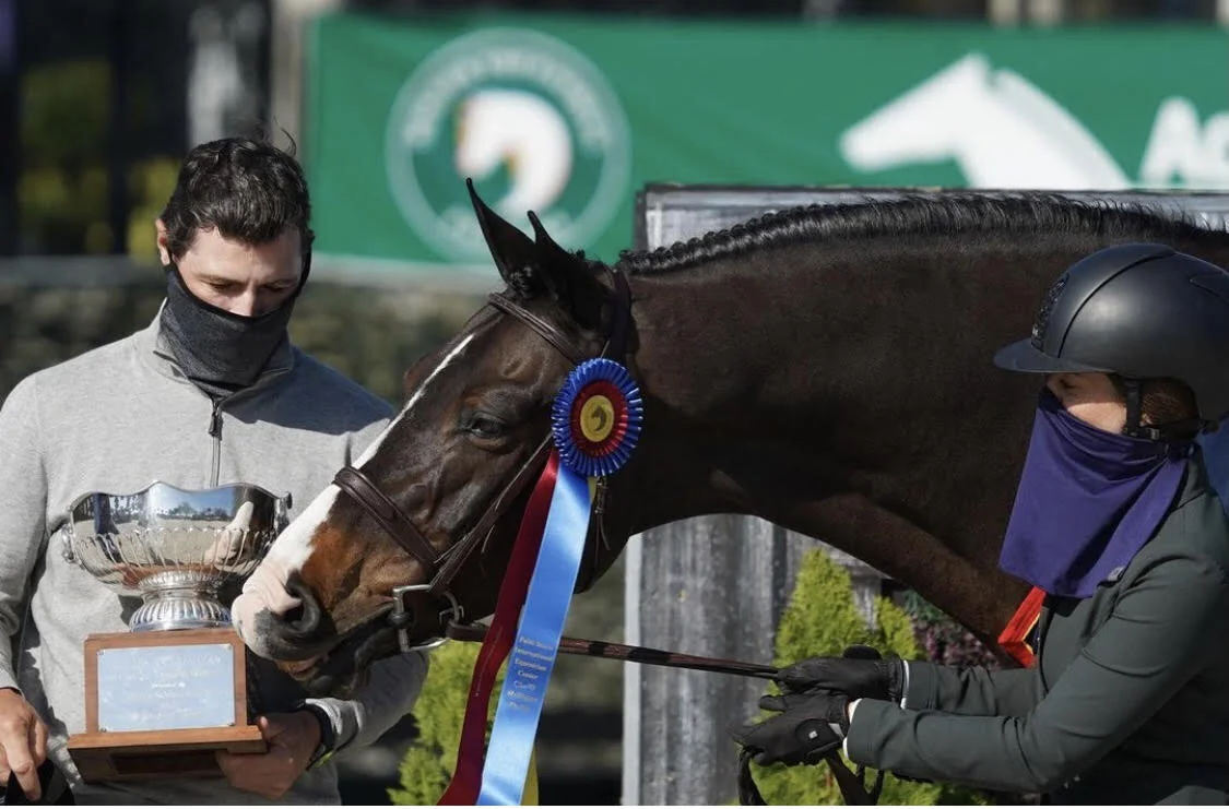 U.S. Hunter Jumper Association names Chablis WCHR Hunter of the Year