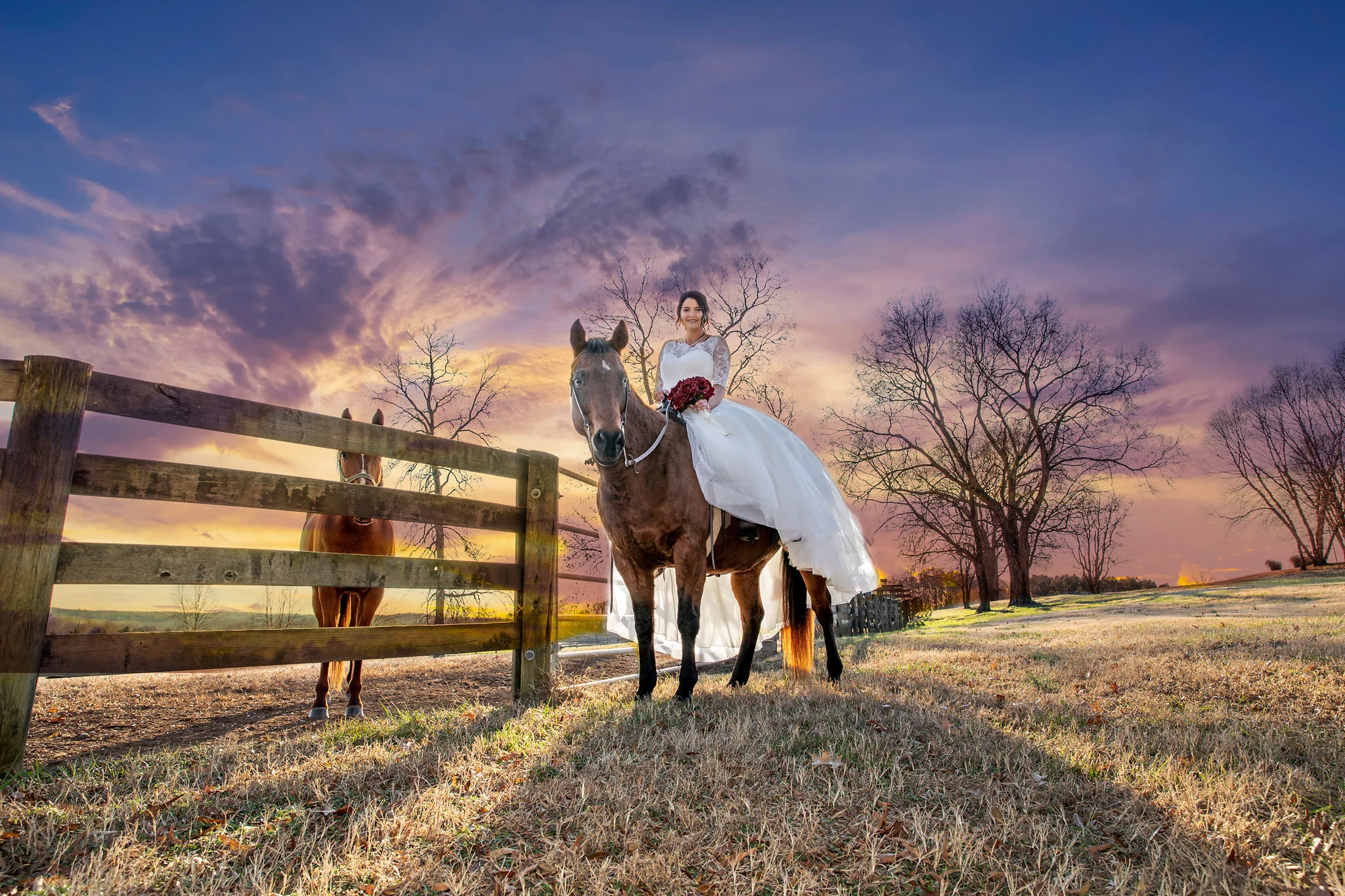 horseweddingsamplelo.jpg
