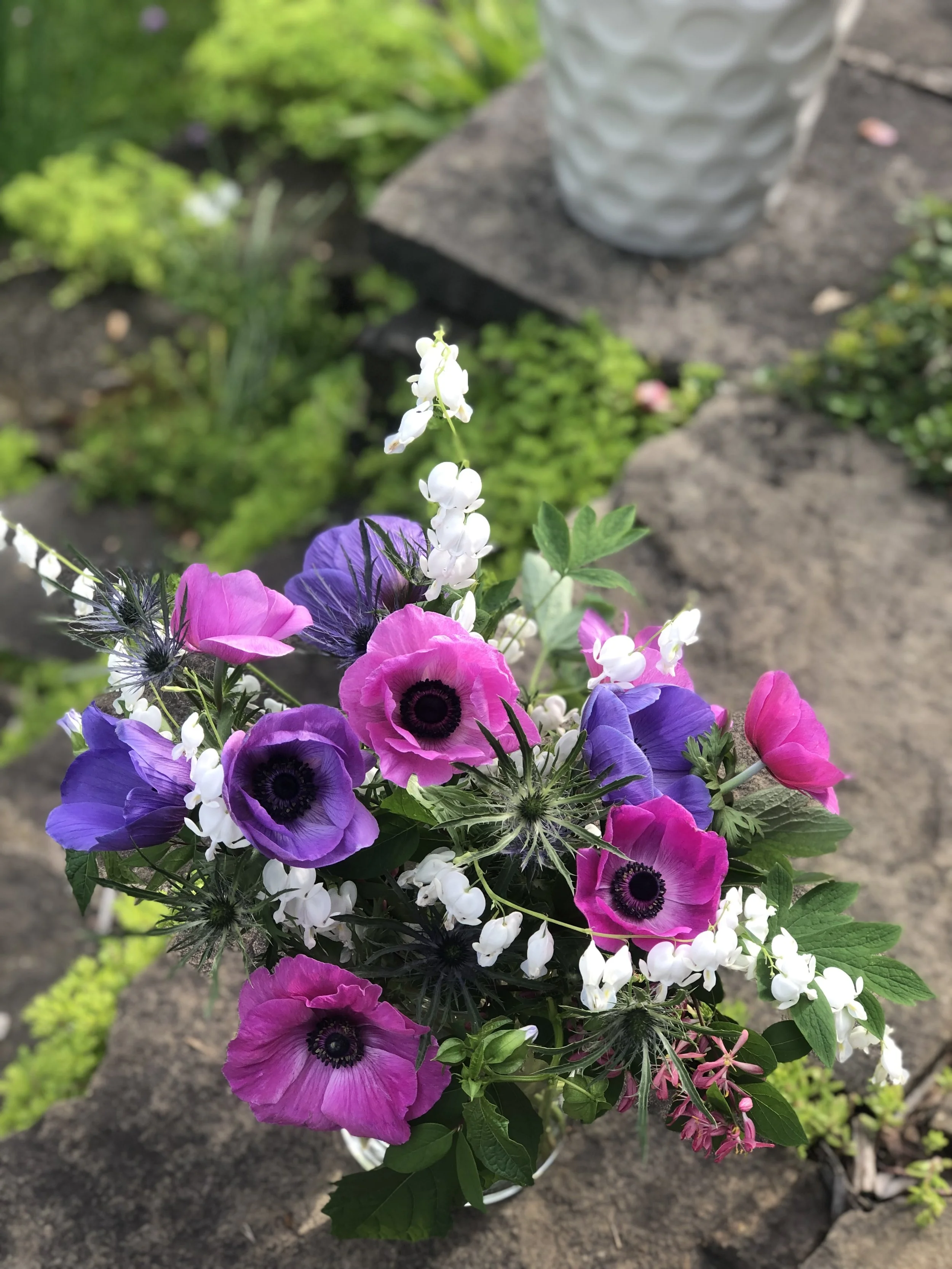 IMG_7563.jpeg