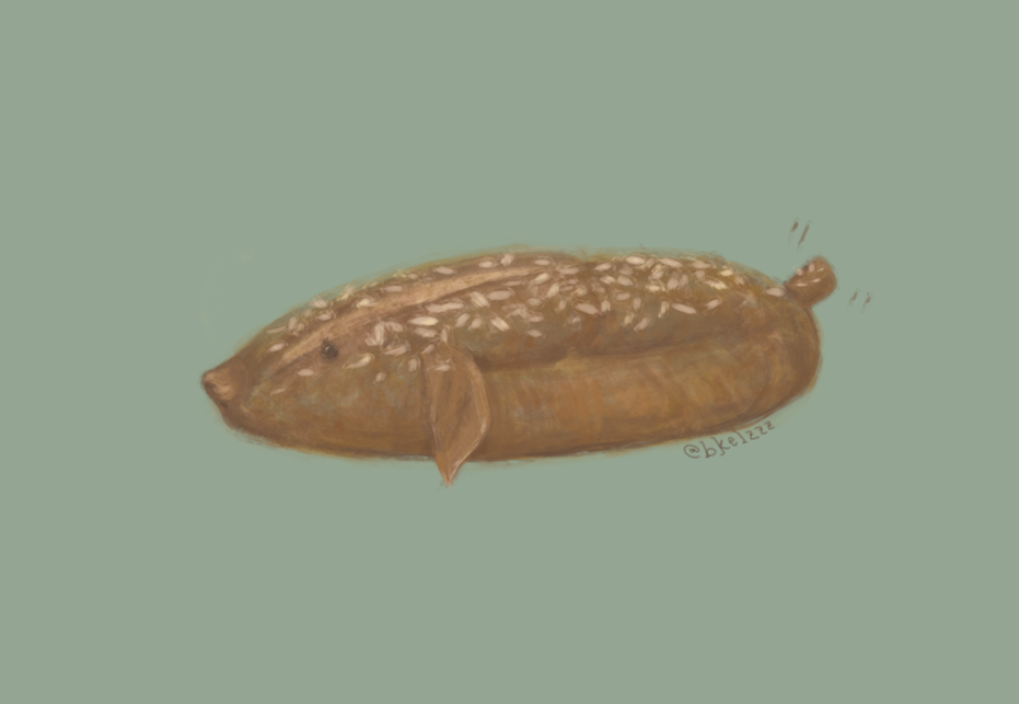 WheatBreadPointer.png