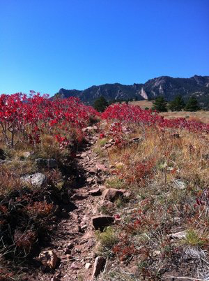 The Homestead Trail in Boulder