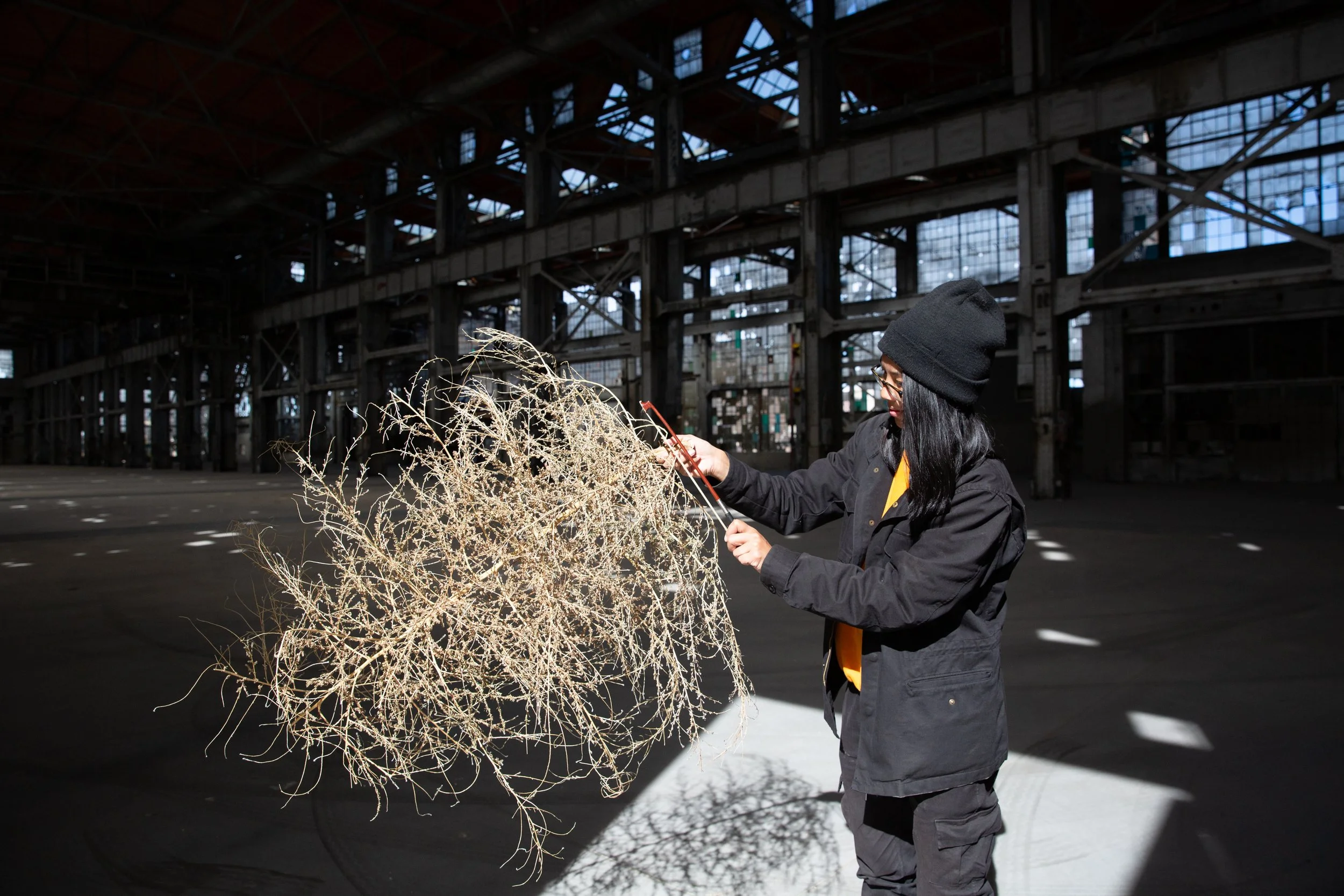  Photo by  Alexia Webster  