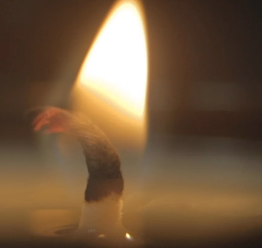 candle flame.jpg