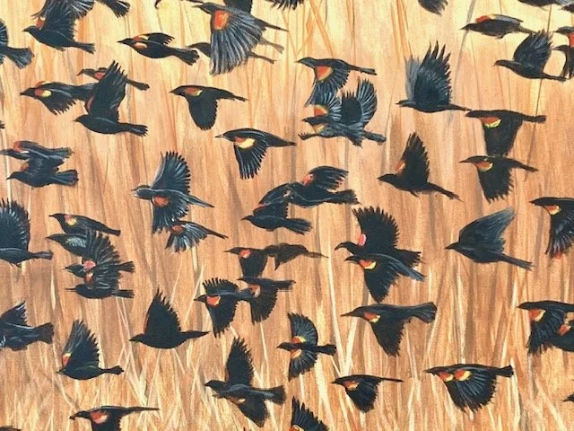 Kathy LaDuca