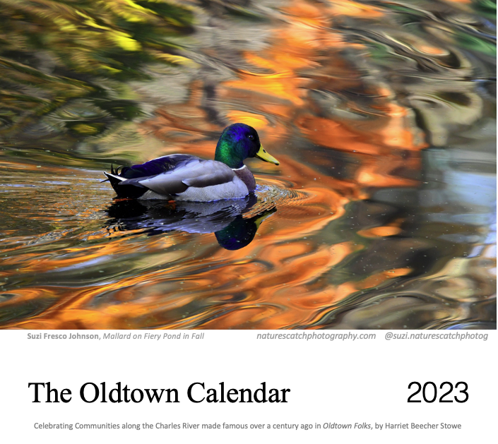 Tod Dimmick - OTC Cover Mockup .png
