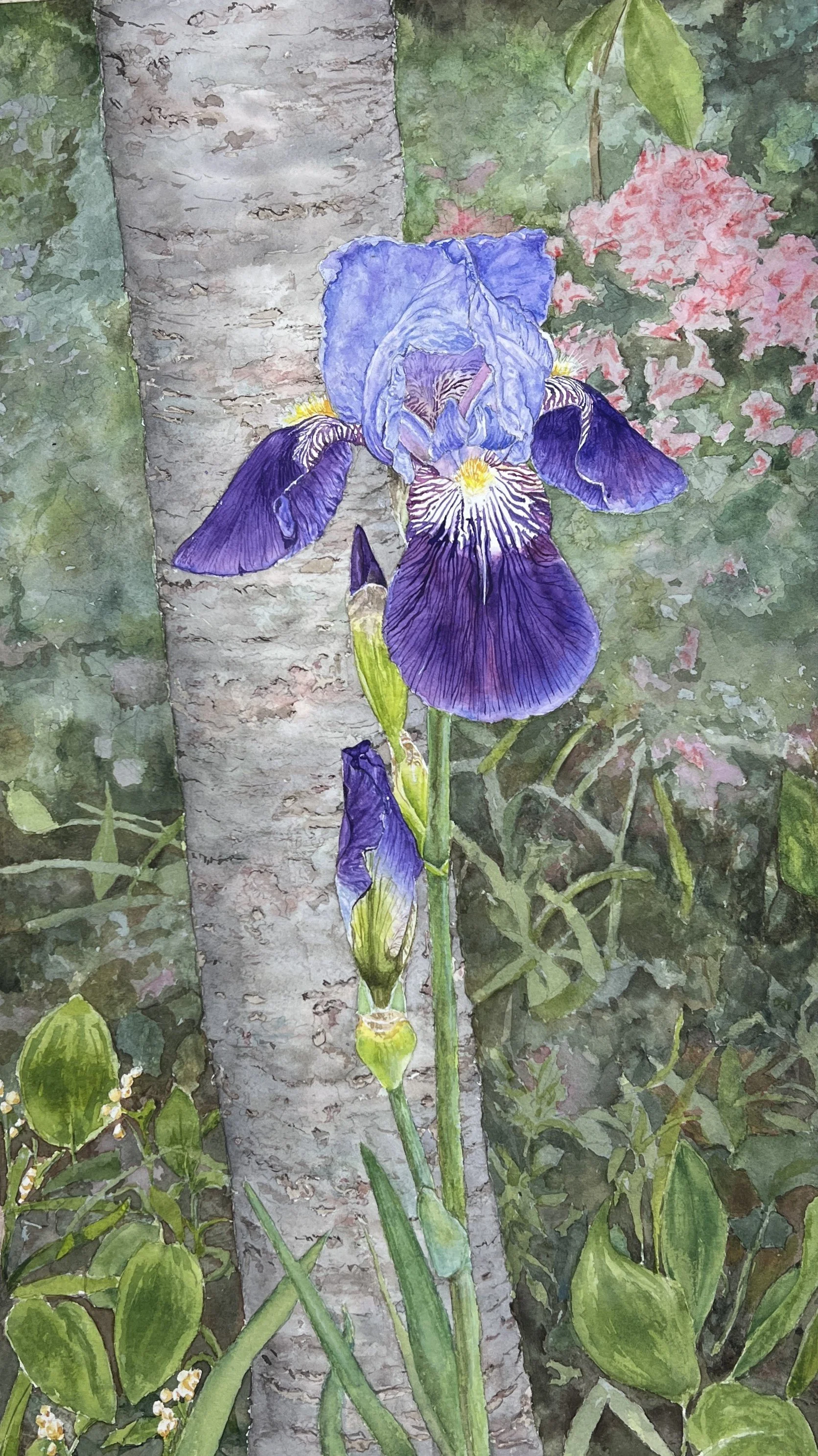 Mark Sereda