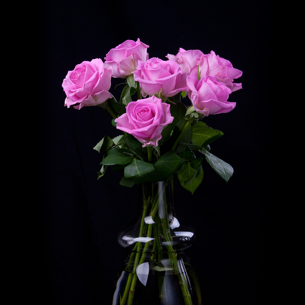 FLOWERS_vases2.jpg