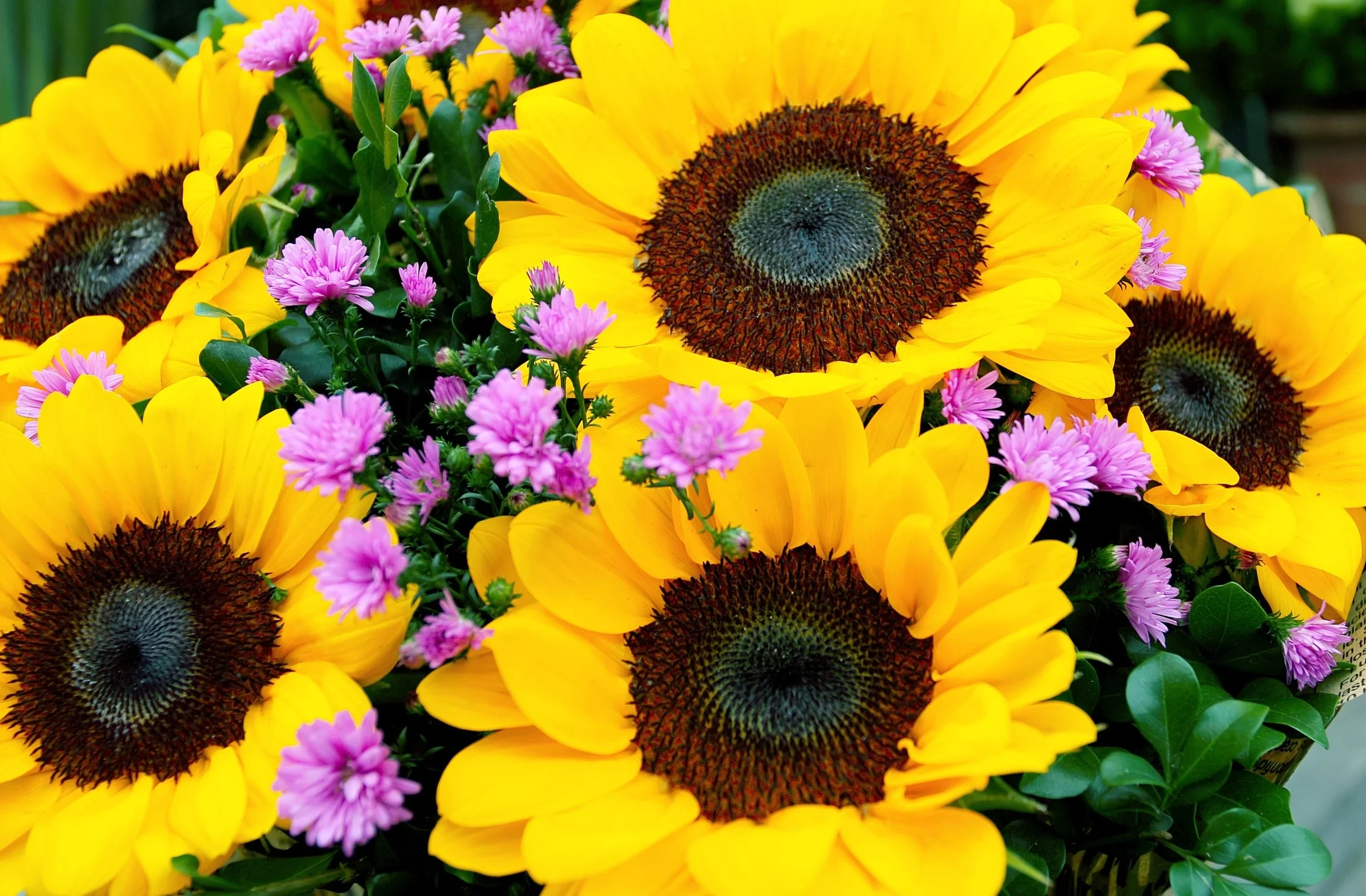 bloom-blooming-blossom-712098.jpg