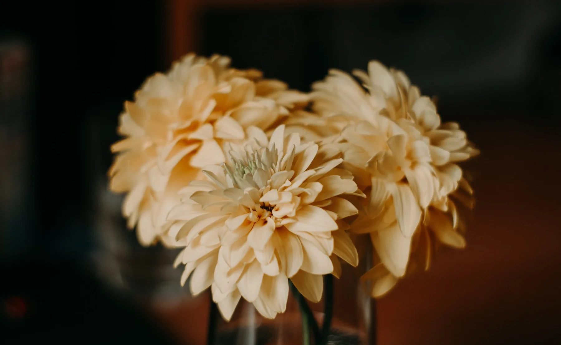 beautiful-blossom-bouquet-1334144.jpg
