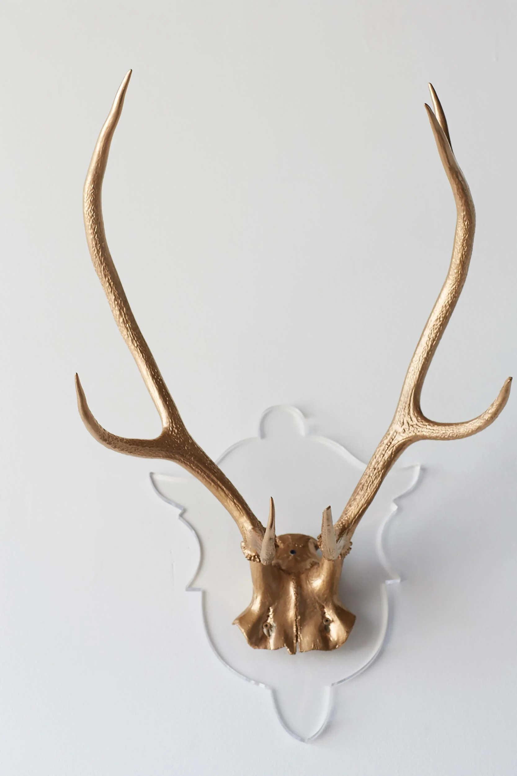 Guilded Antlers