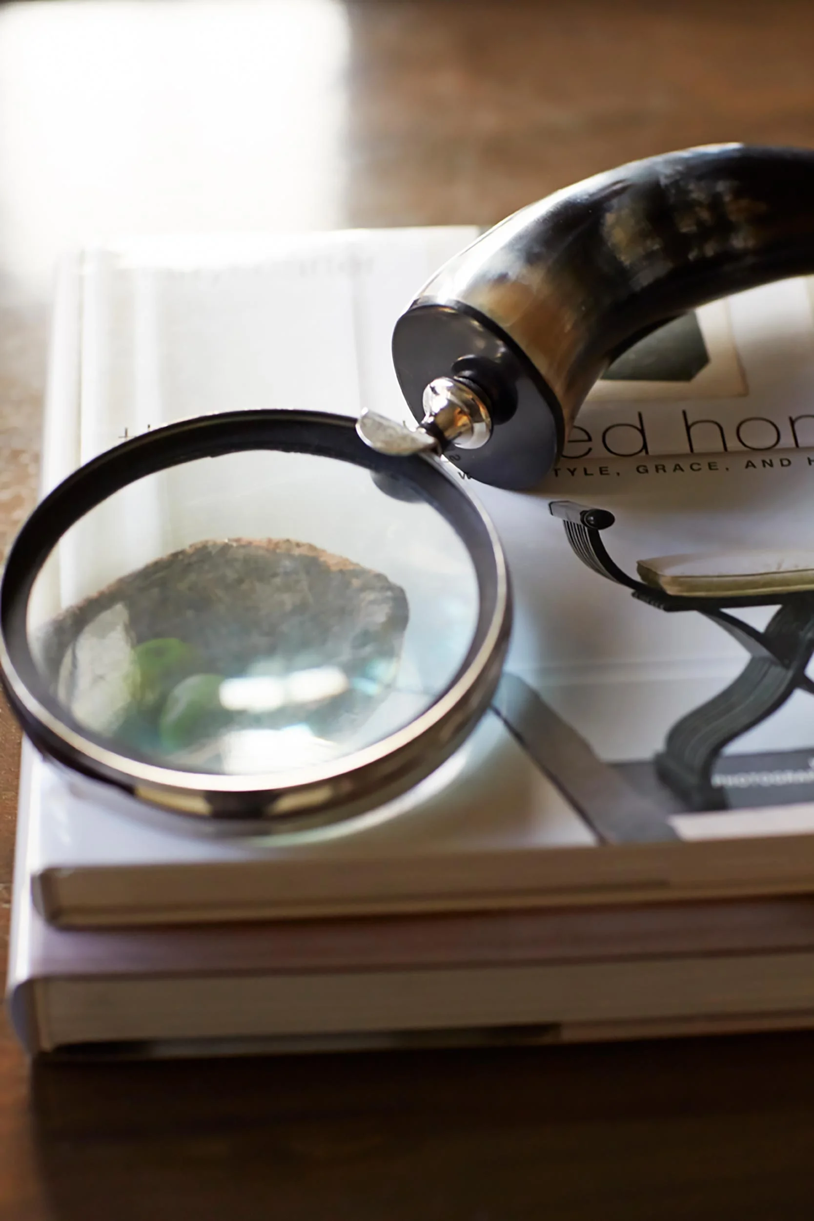 Study Desk Magnifying Glass Detail