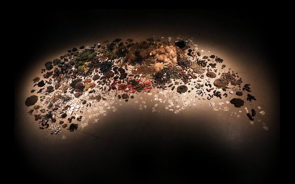 Sang Hyun Koh, Faeces, variable sizes and variable installation, 2017. Image courtesy of the artist.