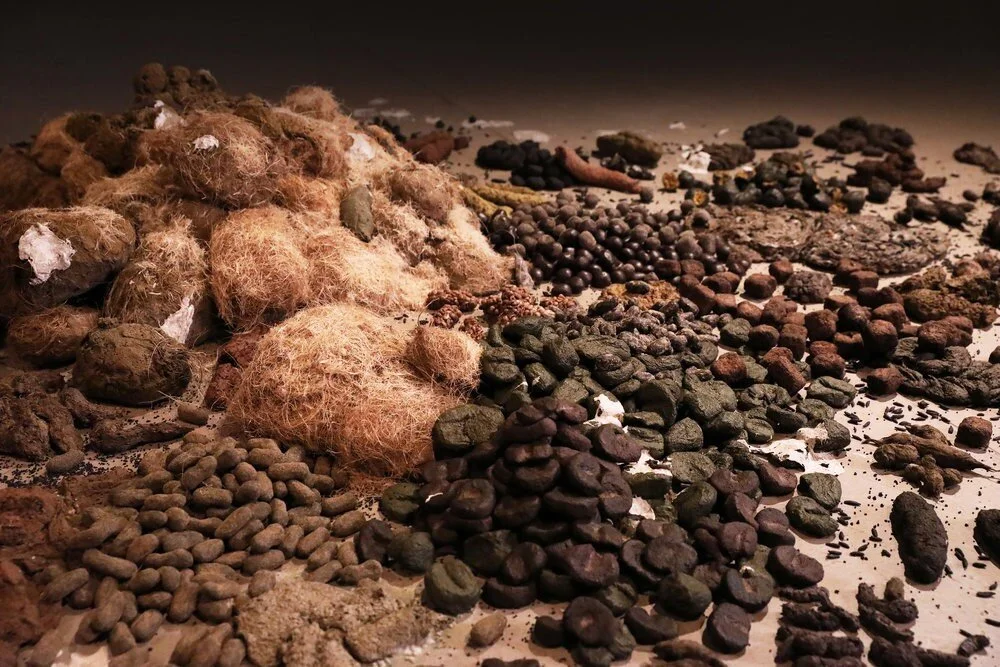 Sang Hyun Koh, Faeces (detail) , variable sizes and variable installation, 2017. Image courtesy of the artist.