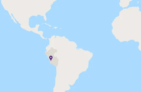 Reimagine_Homepage_460x300_Peru.jpg