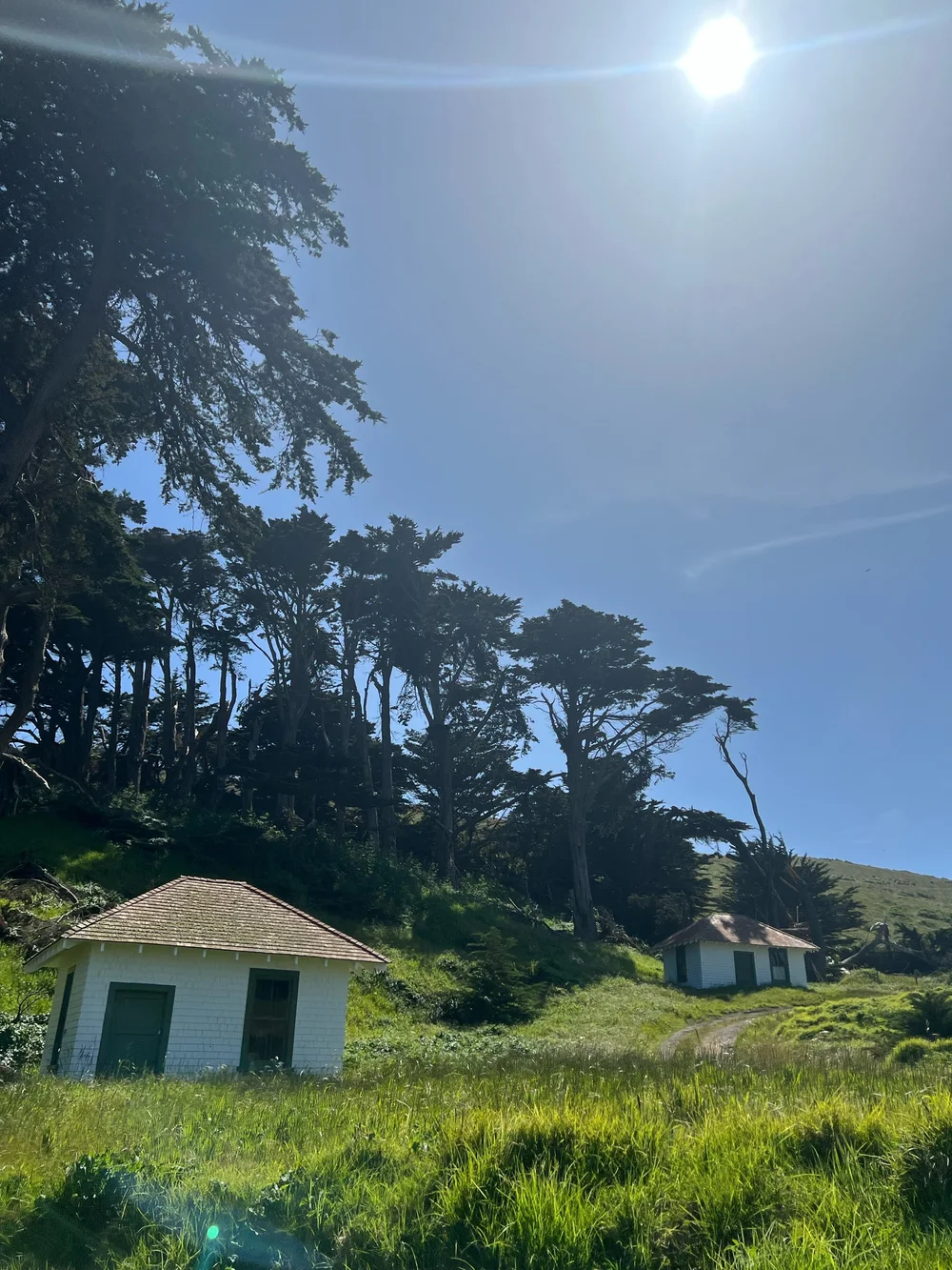 Elephant Seal Overlook, Point Reyes