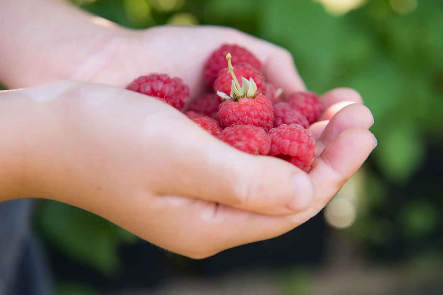 Lotmead_Farm_424.jpg